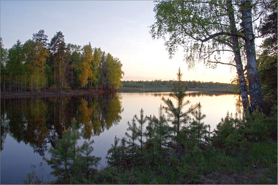 Озеро Сомовое и его нестандартные обитатели