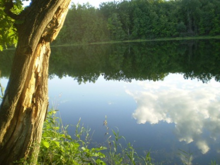 Озеро Куляшка: для охотника и рыболова