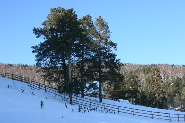 Вид с базы отдыха шушпа зимой