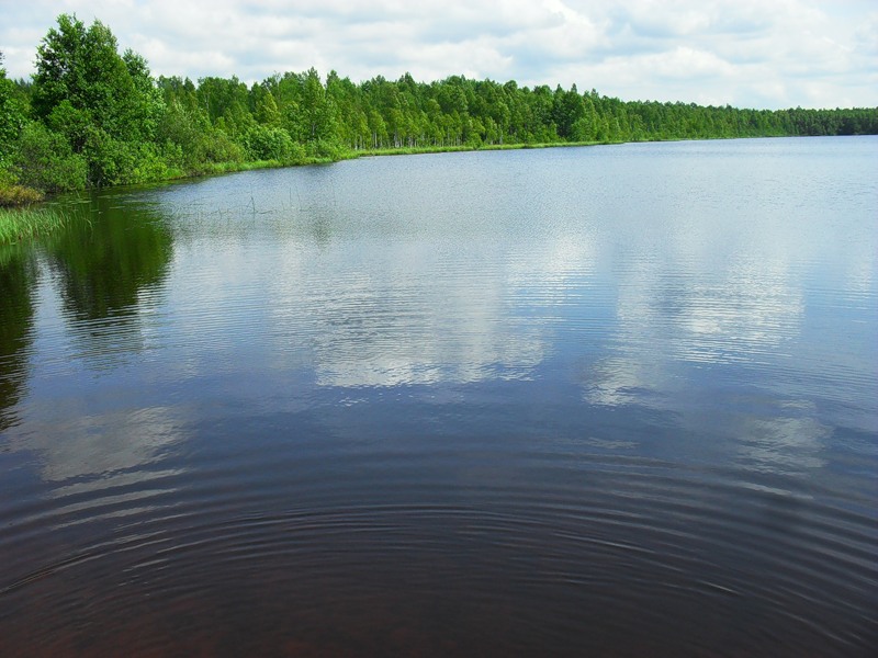 Озеро Барское