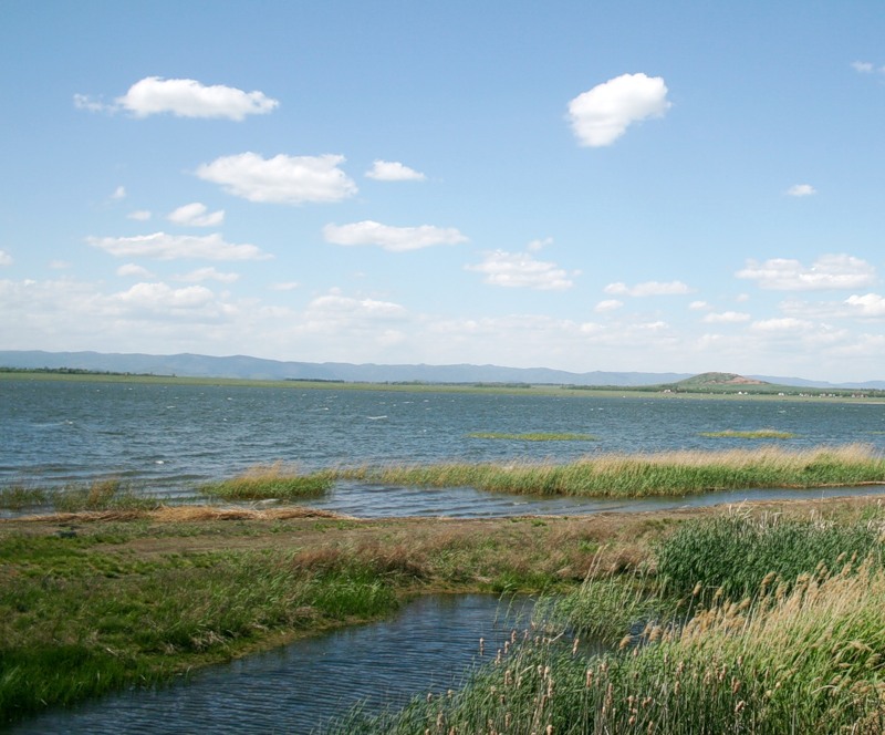 Озеро Мулдаккуль – соленое лечение